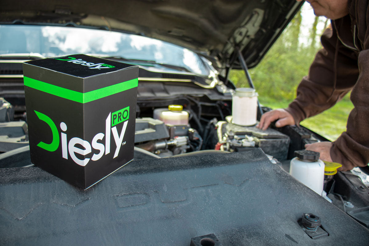 Diesly PRO Filters & Filter Sets